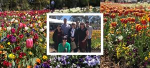 Picture of staff at Floriade